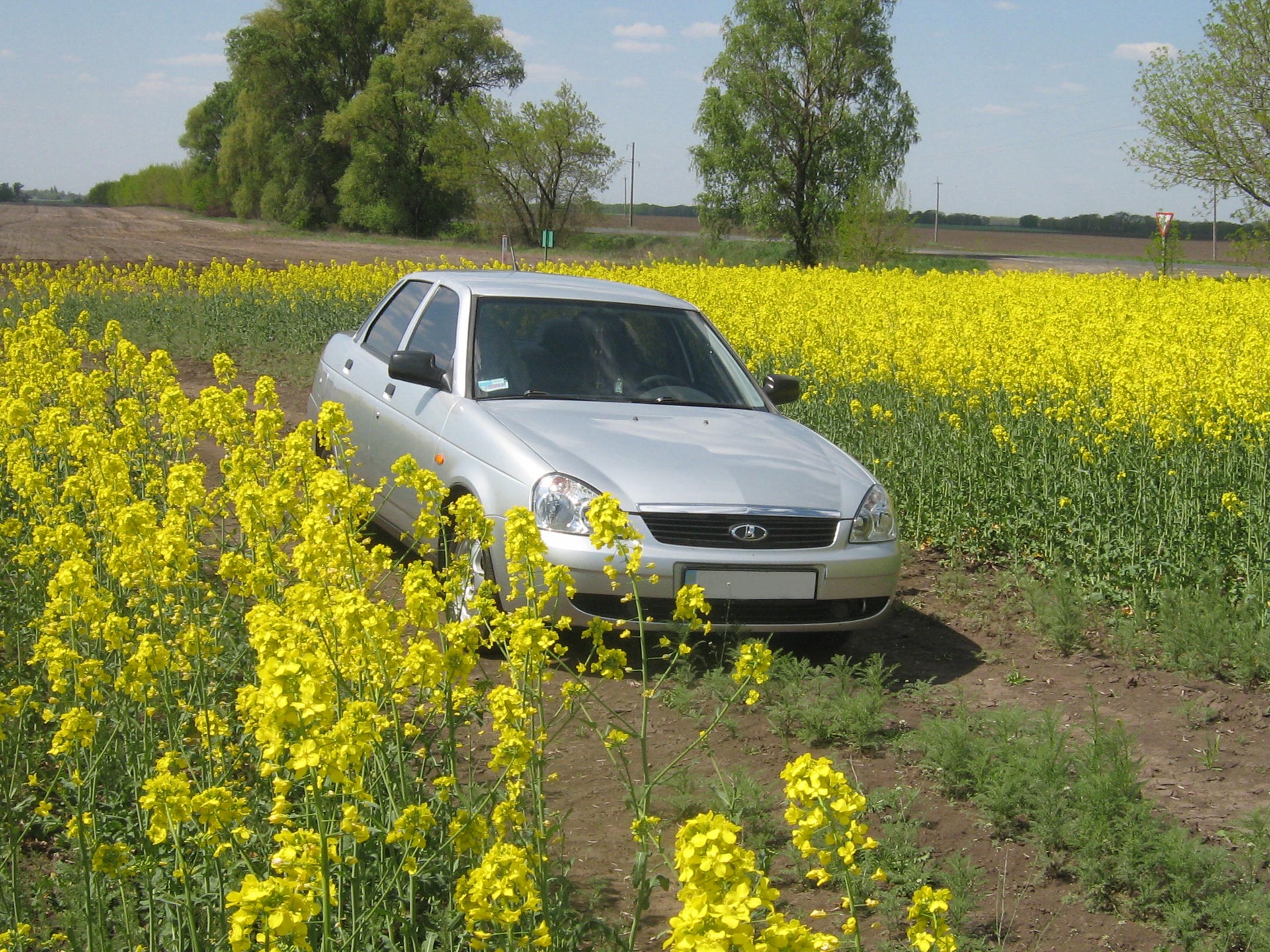 Весна 2011 2