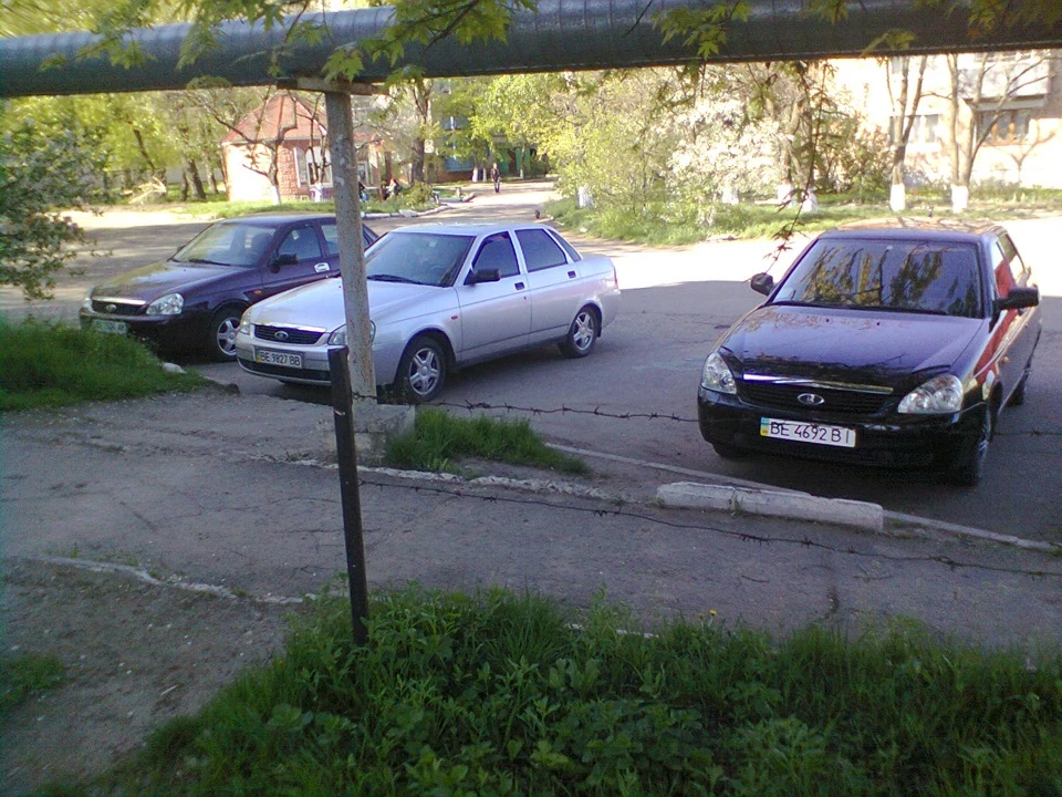 Природовір