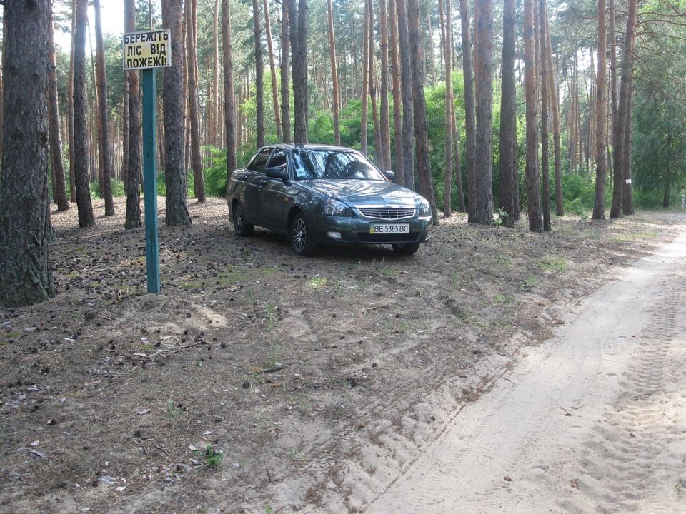 В лесу 5