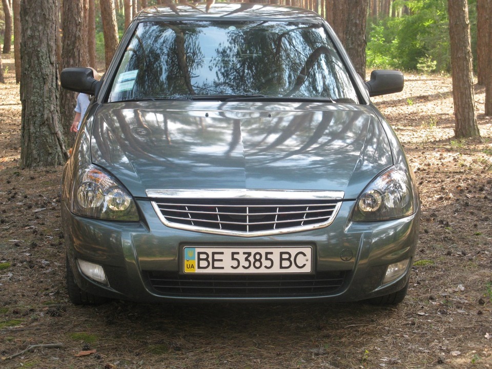 В лесу 2