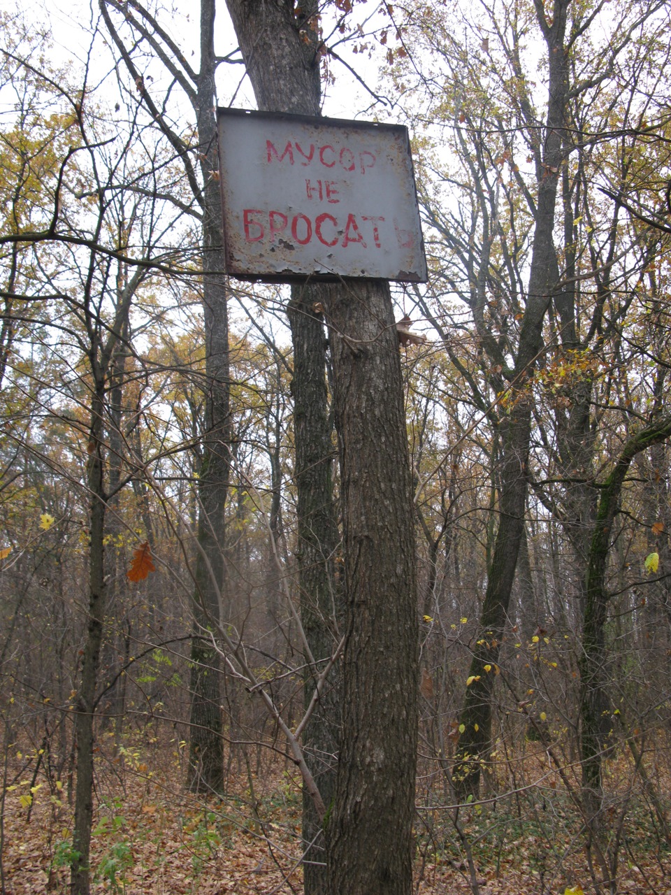 Луна війни. 1