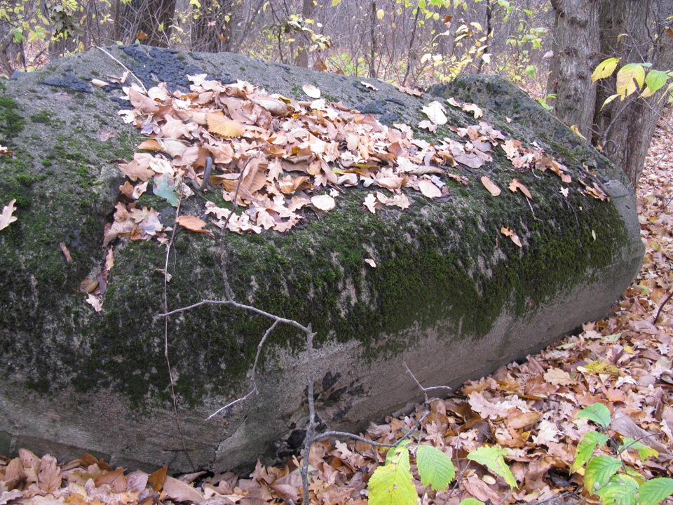 Луна війни. 5