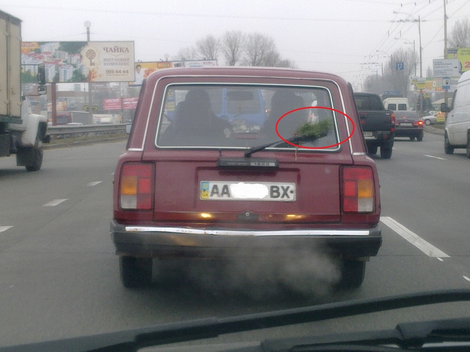 А з нашого вікна... Частина 2. 4