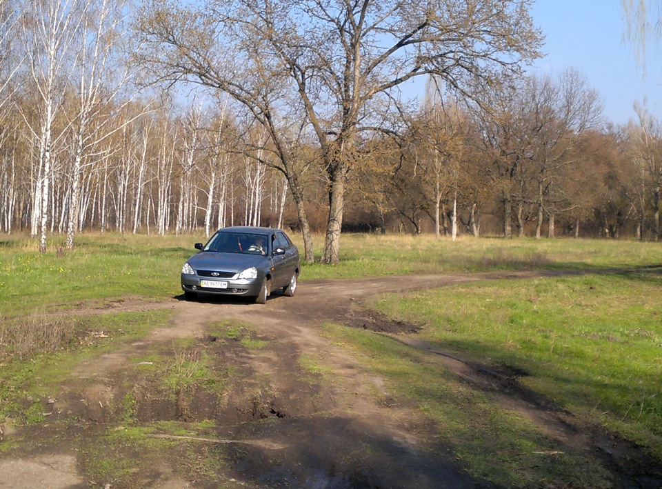 весна день 43 3