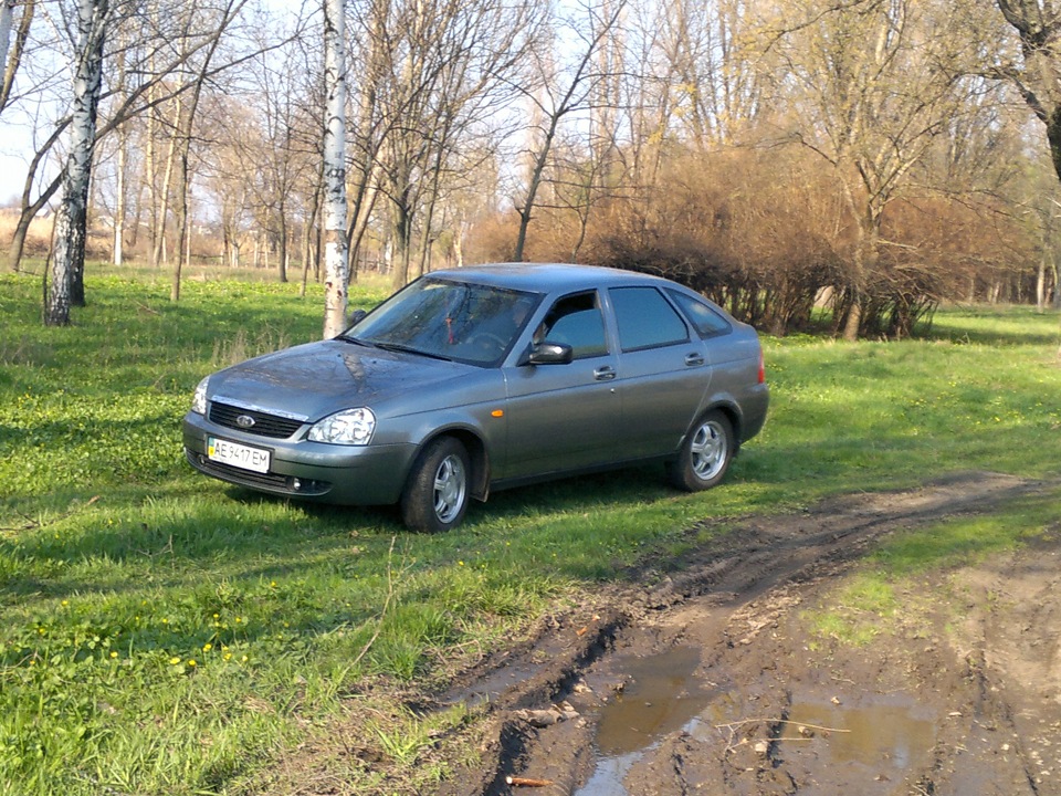 весна день 43 4