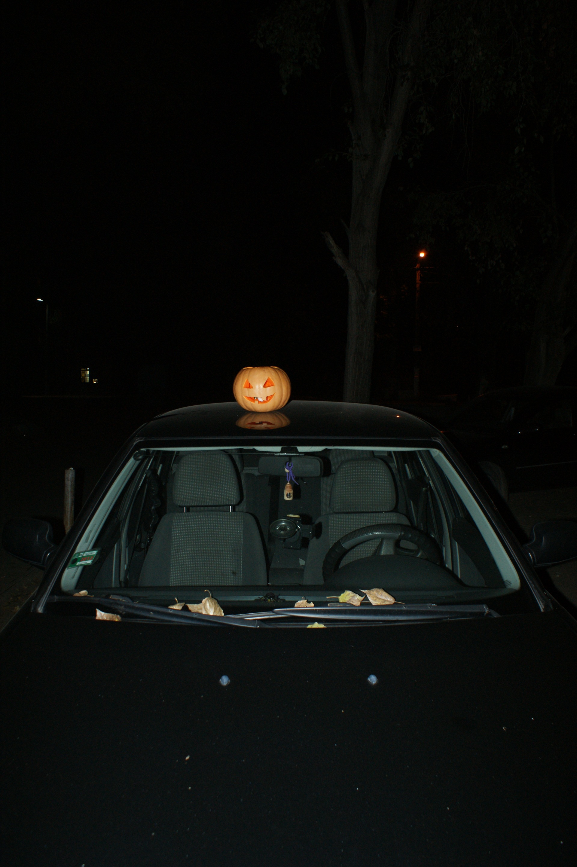 Фото Halloween 2