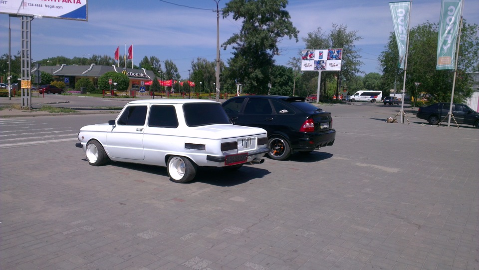 Випадковий фотосет із дравівчанином, тазоводом (частина 2) 1
