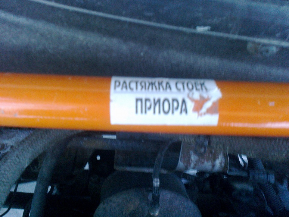 Девайси для Блондекс! 2