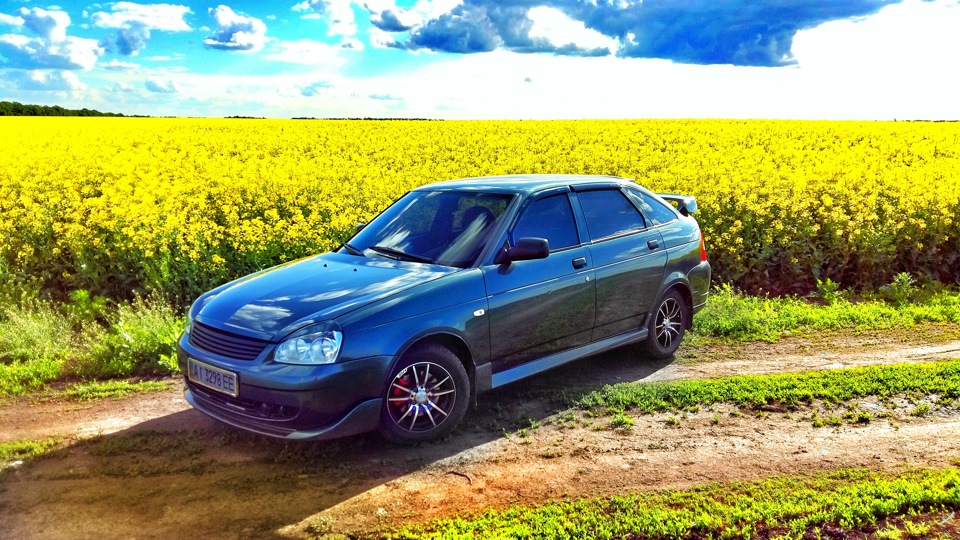 Спонтанний фотосетик)) 5
