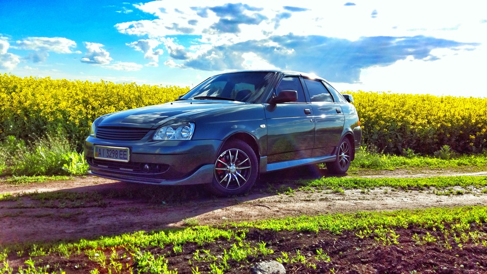 Спонтанний фотосетик)) 4