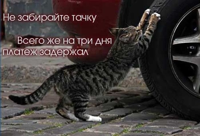На честь першого квітня приколи на автомобільну тематику))) 3