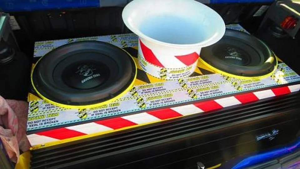 Чемпионский короб 2Х12 GZ-JBL Team
