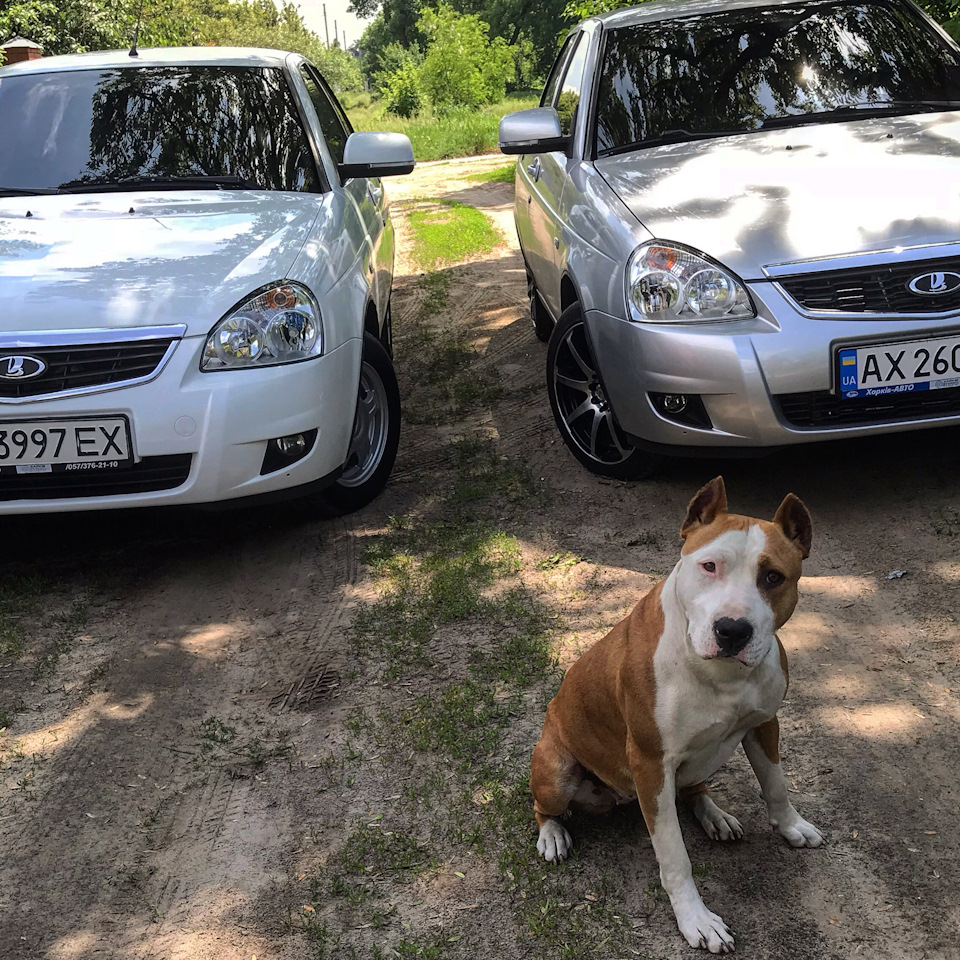 Авто продано. 2