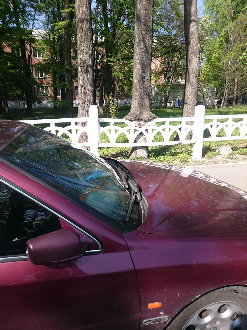 Олія, ти куди біжиш? 4