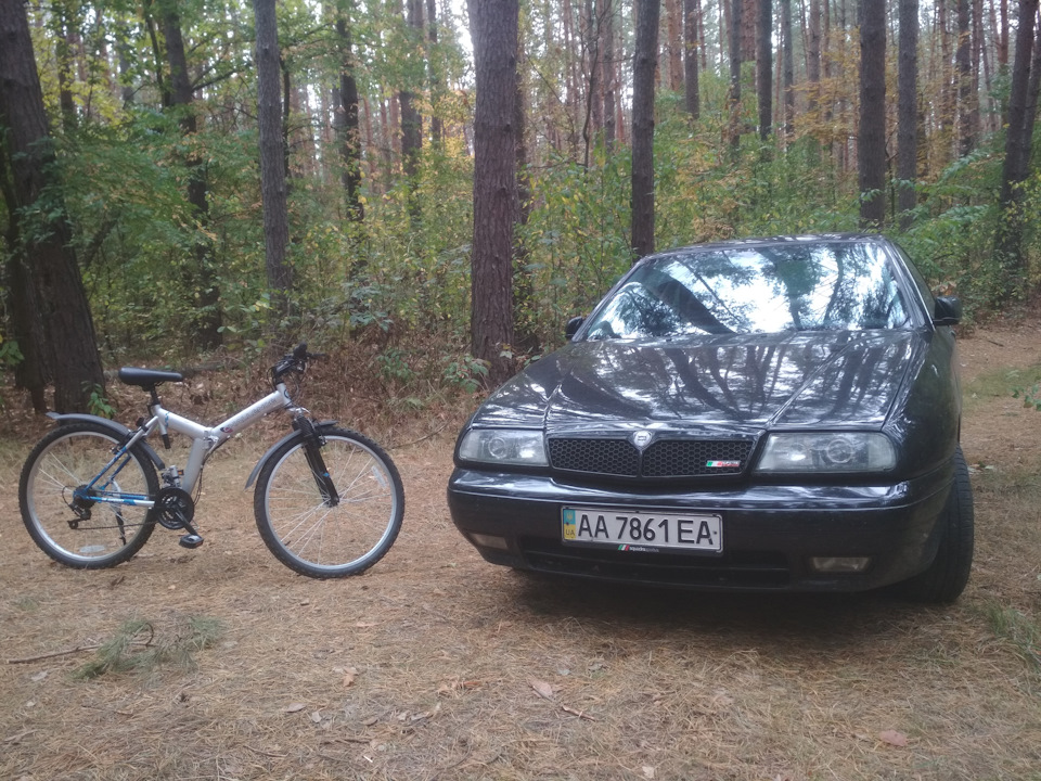 По гриби) 2