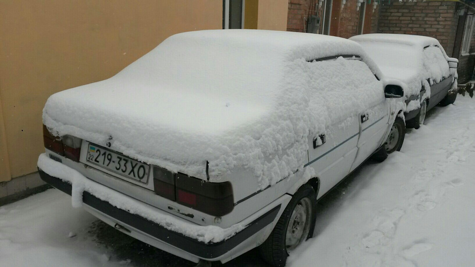 Ожила 3