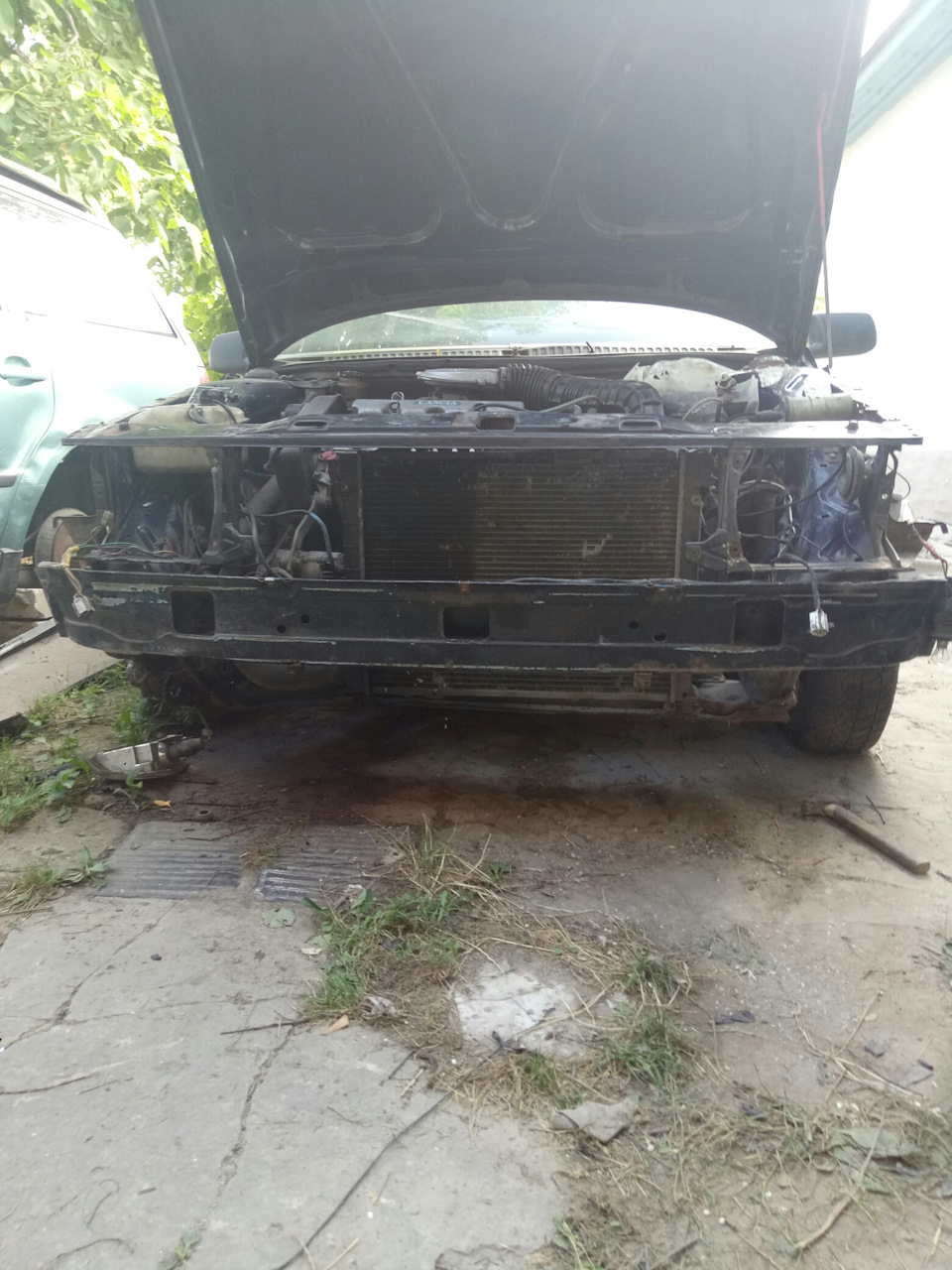 Фари, упорядковую повідку 5