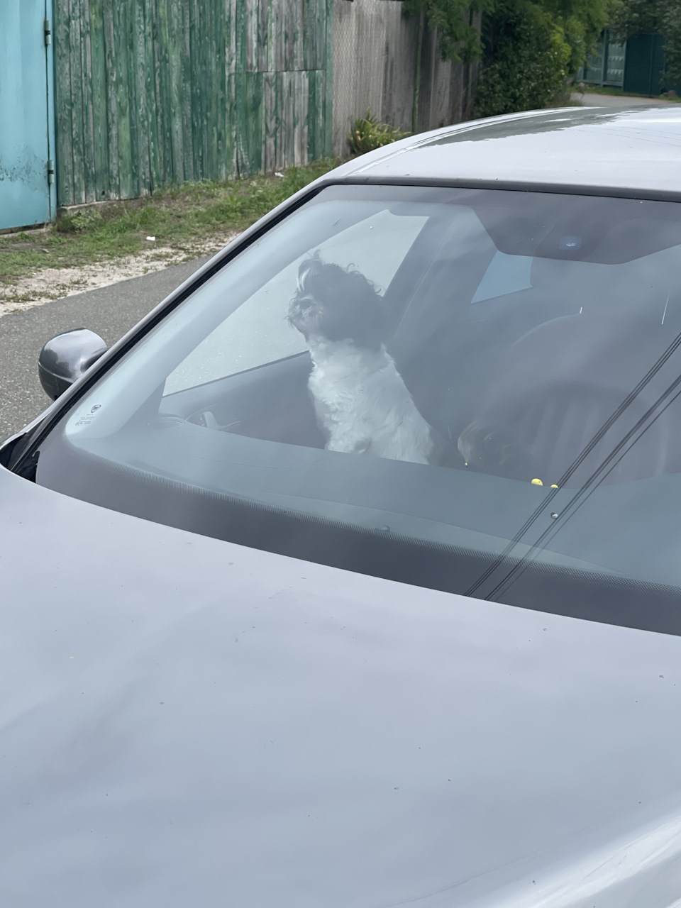 Це просто хутровий.ру 3