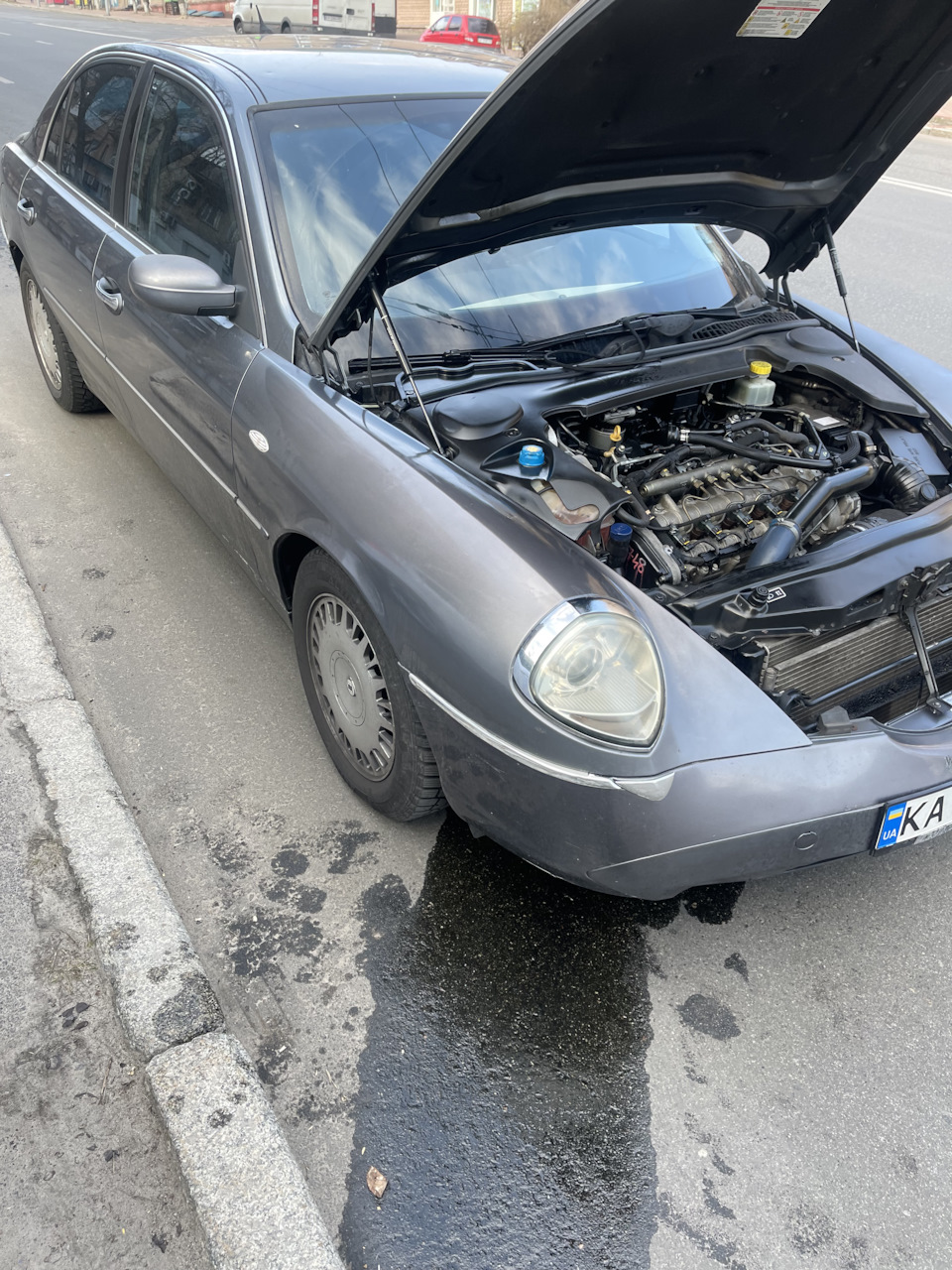 Є такий хутровий звірятко! 1
