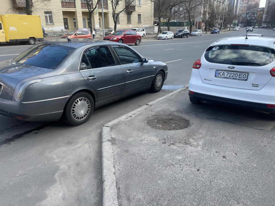 Є такий хутровий звірятко! 3