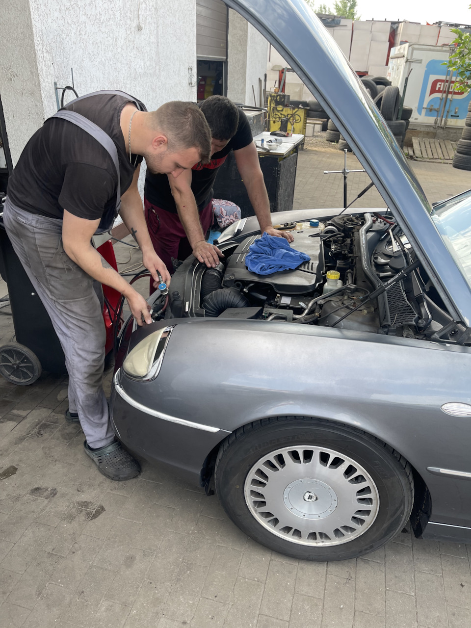 Теплі дні) 5