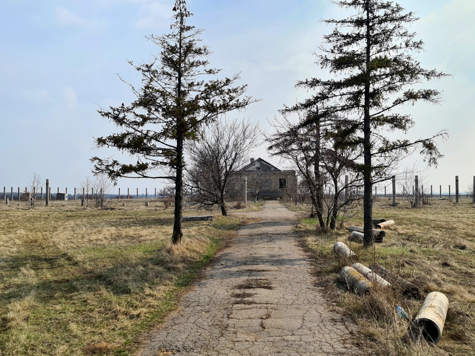 Дальницький ліс 2