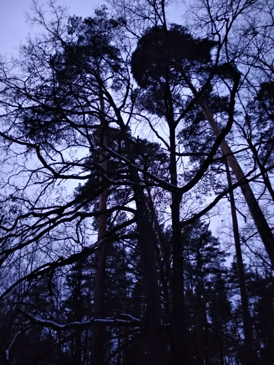 Трохи зими 4
