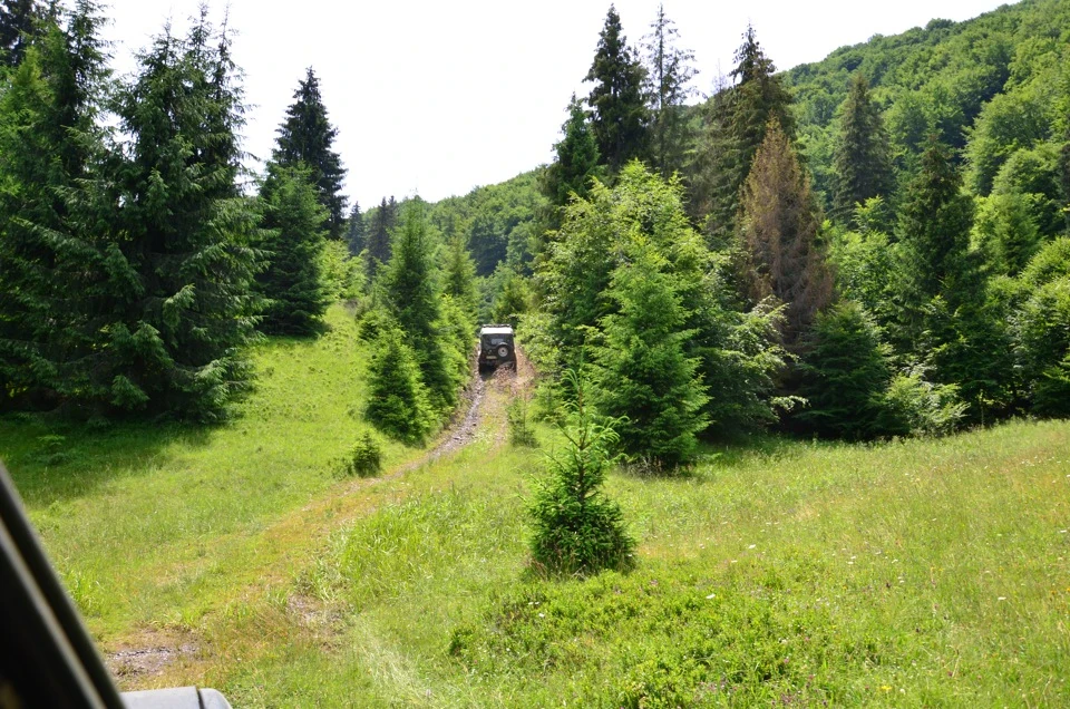 Боржава