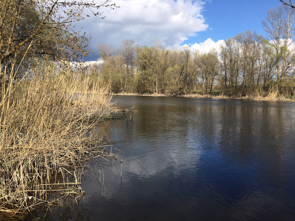 Поїздка до батьків 15.04.2017 3