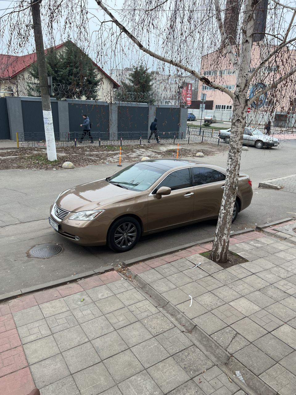 21. Через рік. 2