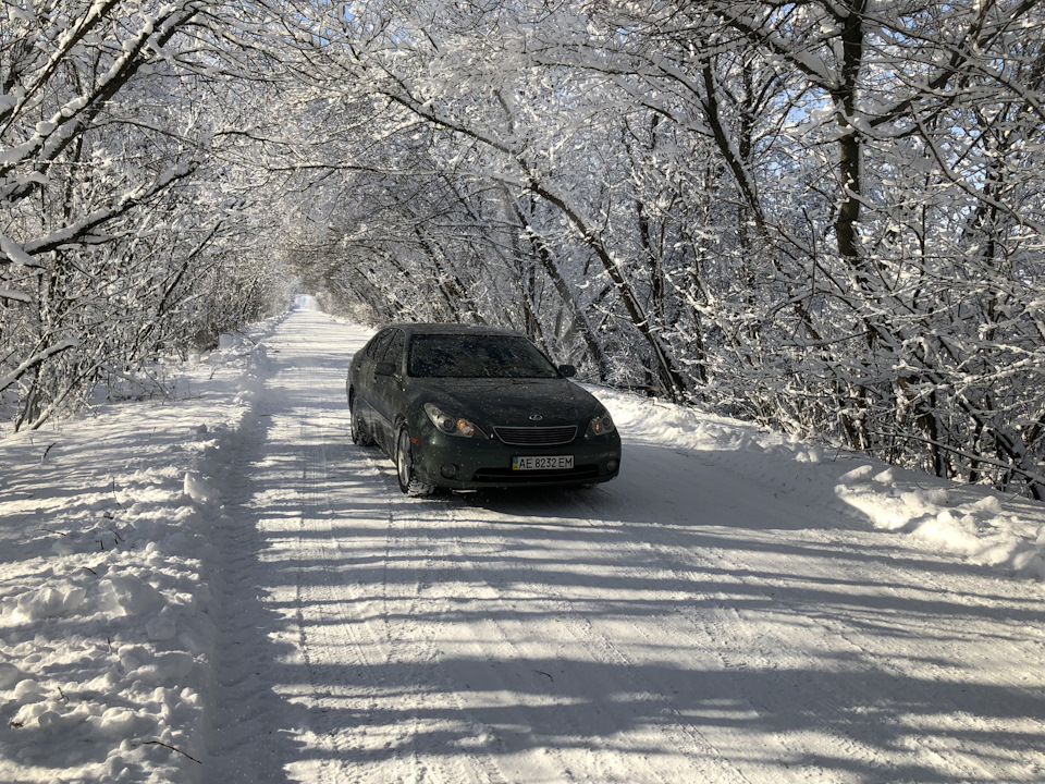 Зима !) 5