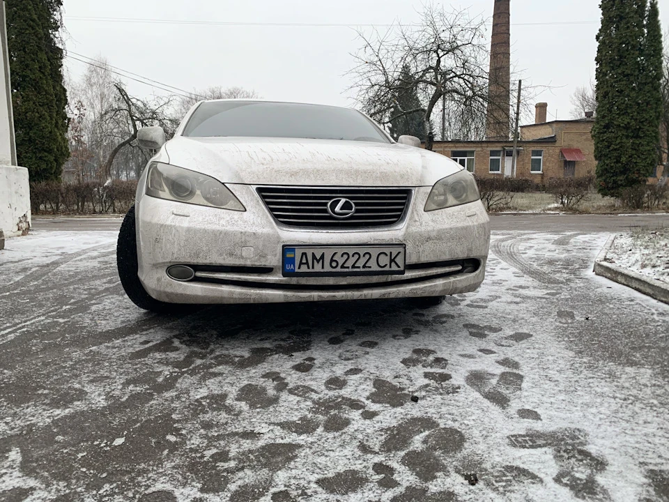 Ворона йшла на зліт