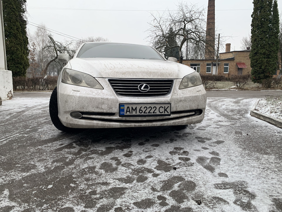 Ворона йшла на зліт 1
