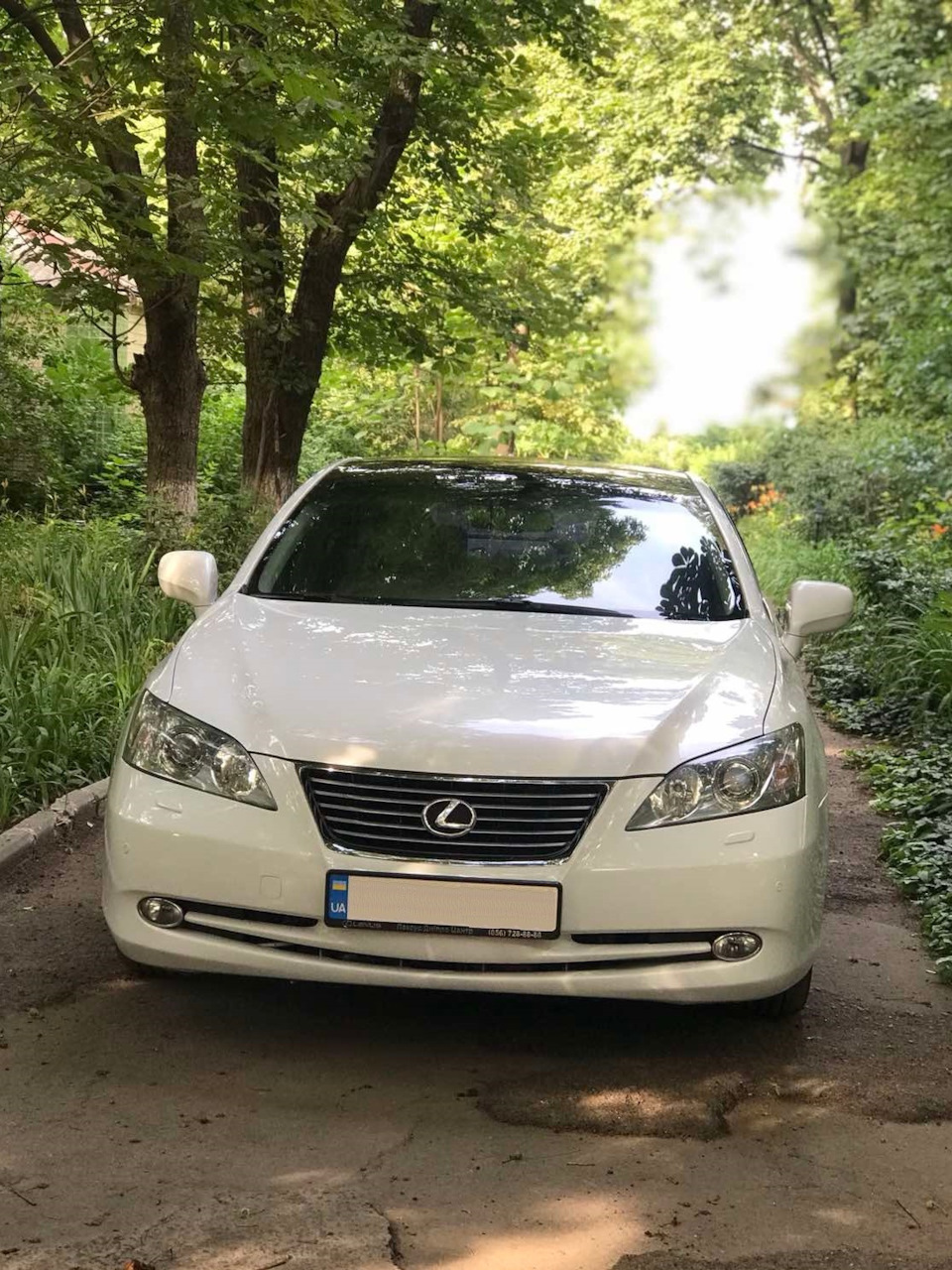 Планове ТО. Чищення дросельної заслінки. Реставрація рейки. 1