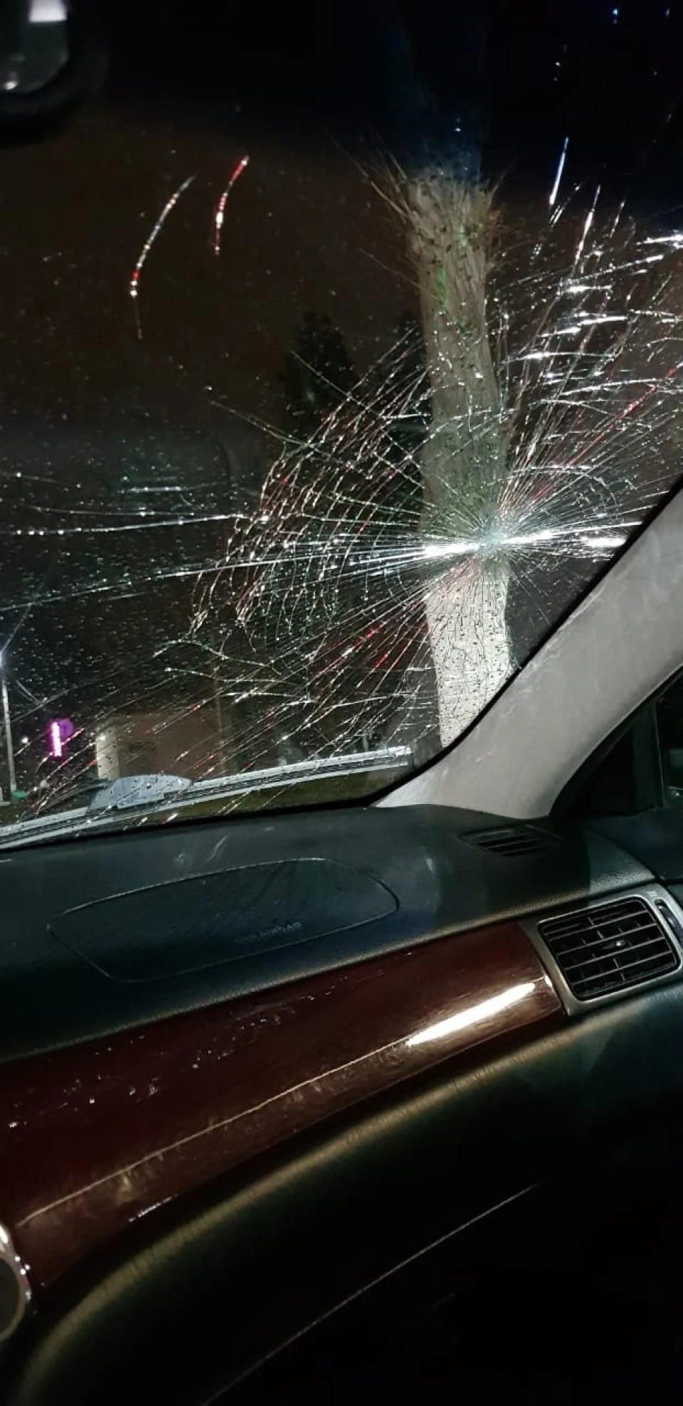 Windshield