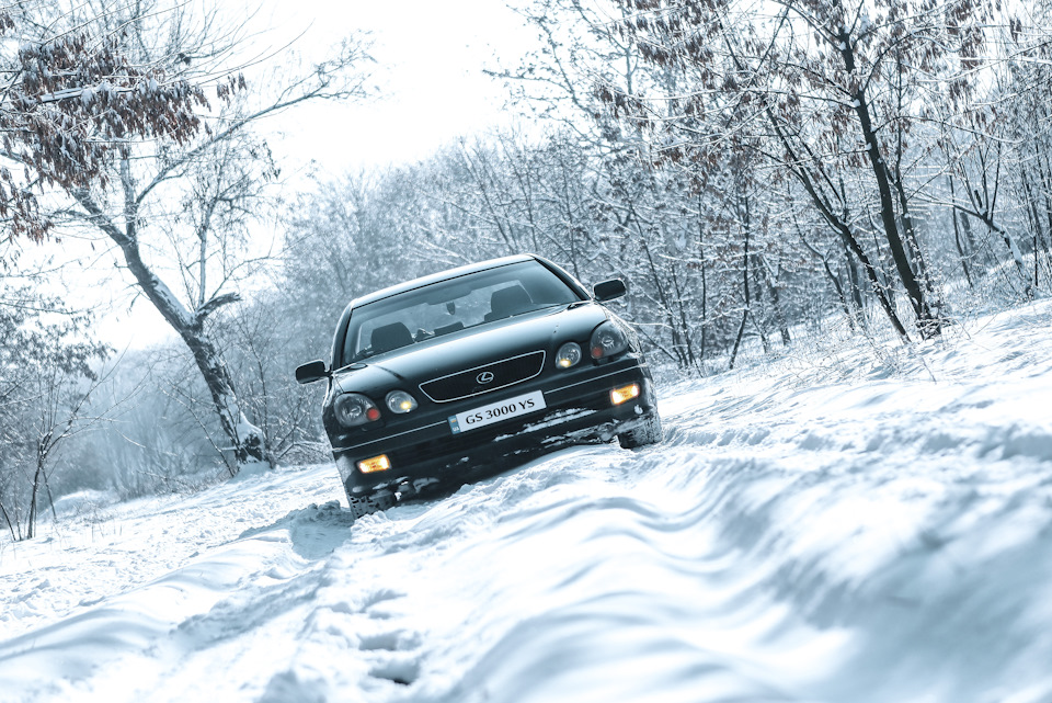 Пару фотографій 3