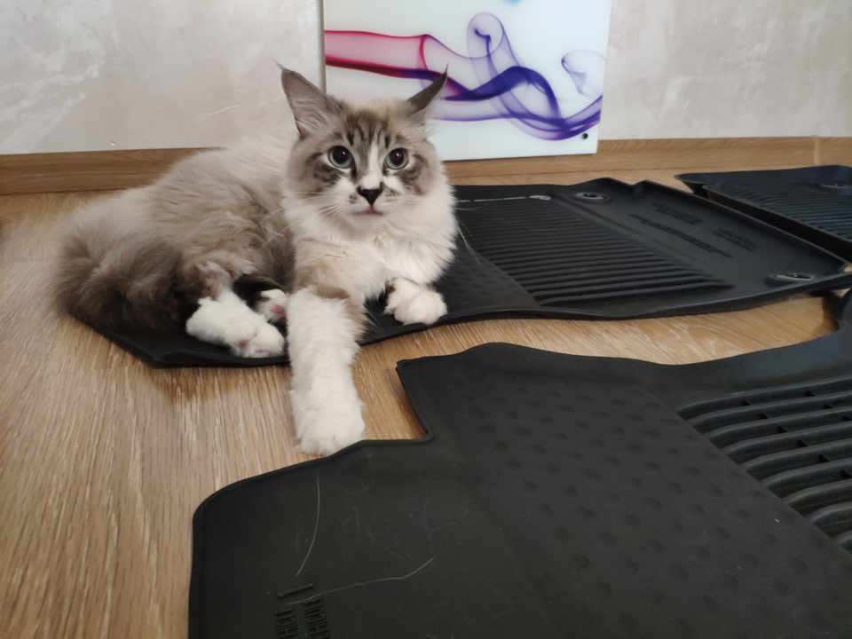 Зимові оригінальні килими 4
