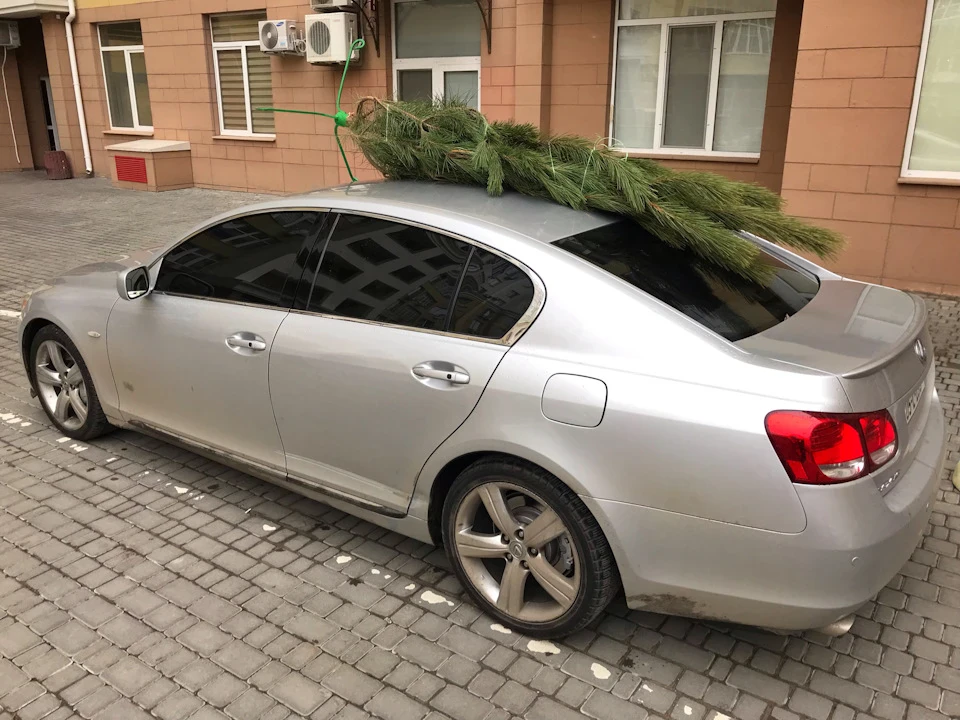 За традицією ялинка на даху