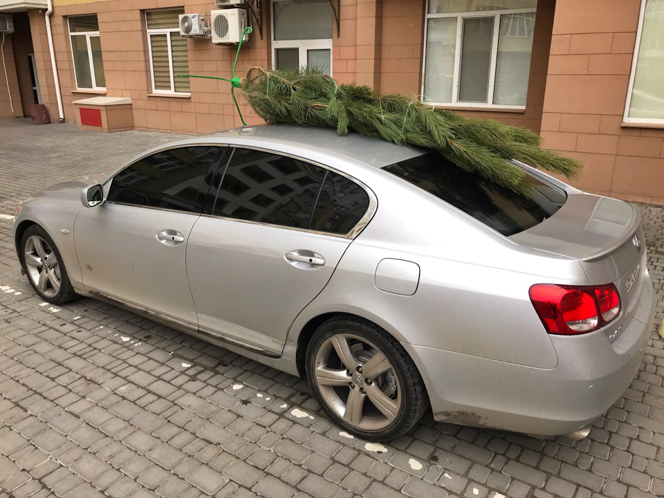 За традицією ялинка на даху 1