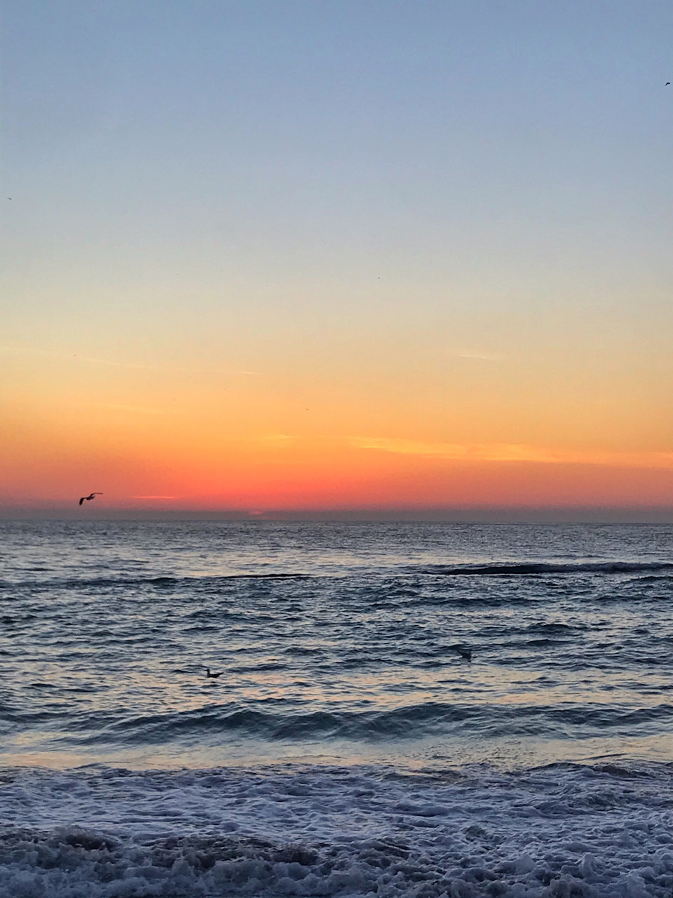 Світанок 🌅 18.01.2019 5