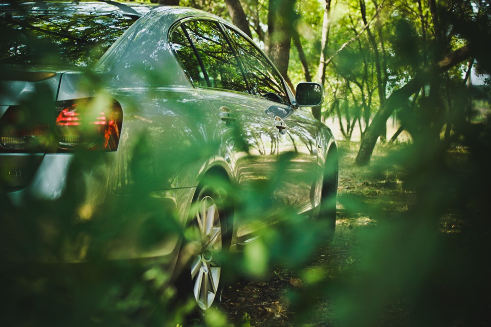 Lexus на природі 3