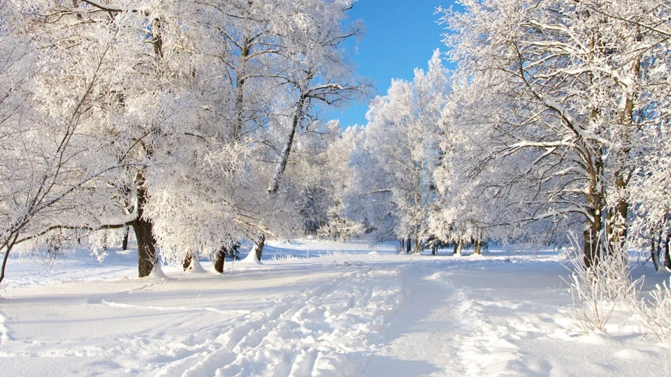 Winter Open Cup 2014, відкриваємо сезон