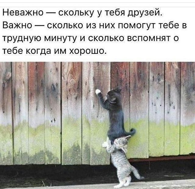 Тепер ліха в теплі! 2