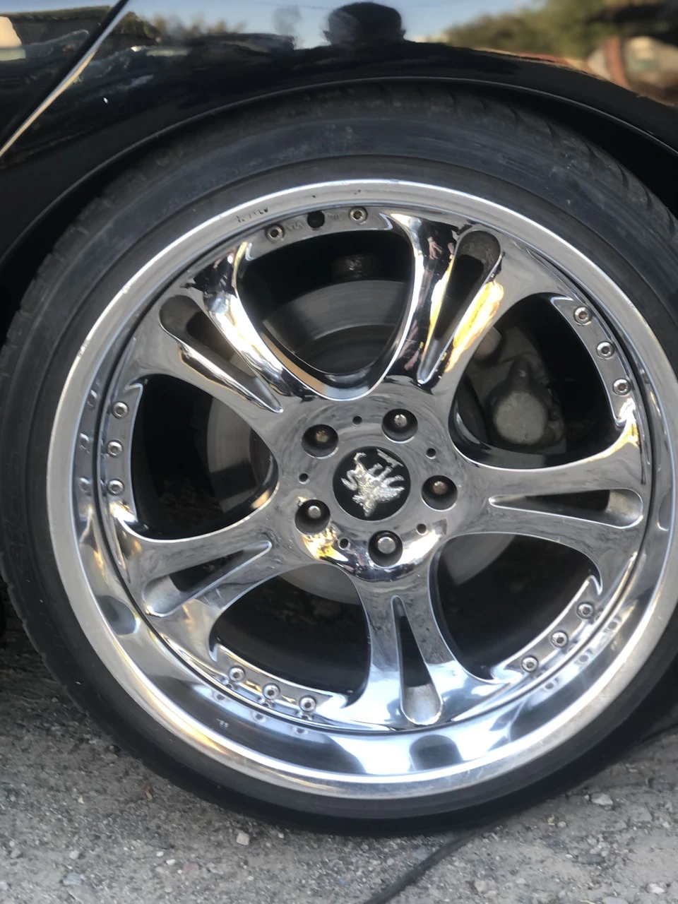 Weds Kranze Cerberus r19