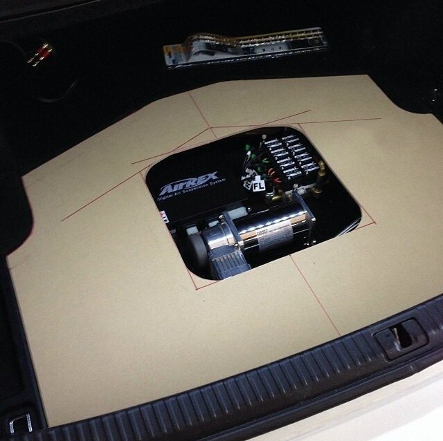 Trunk Stage 1! 3