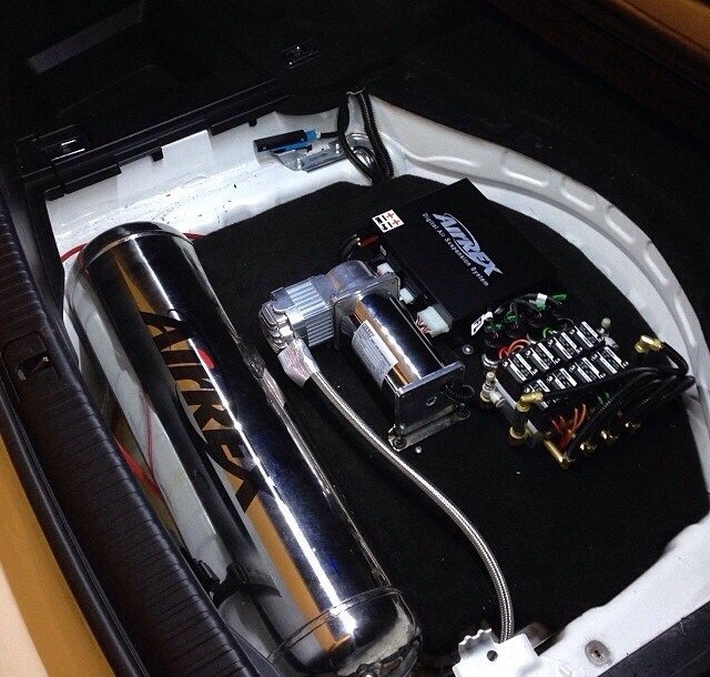 Trunk Stage 1! 2