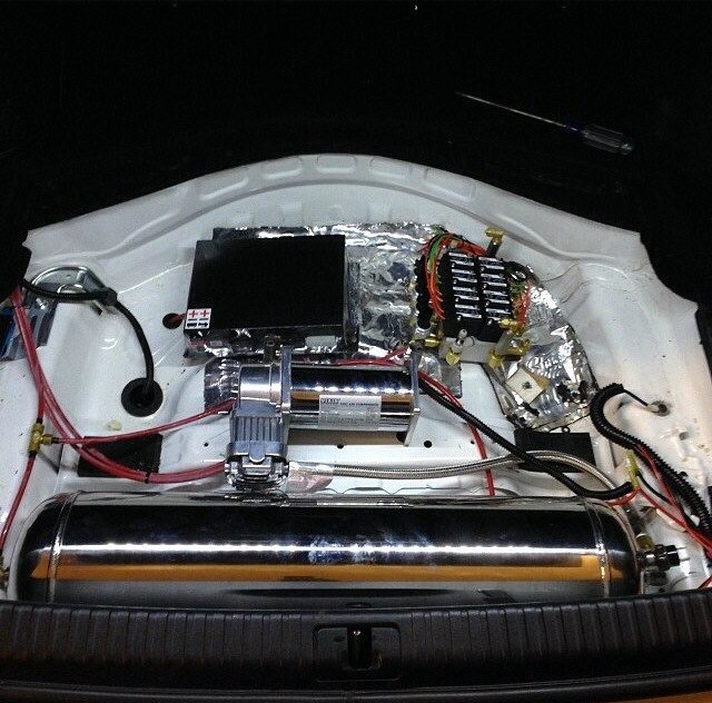 Trunk Stage 1! 1