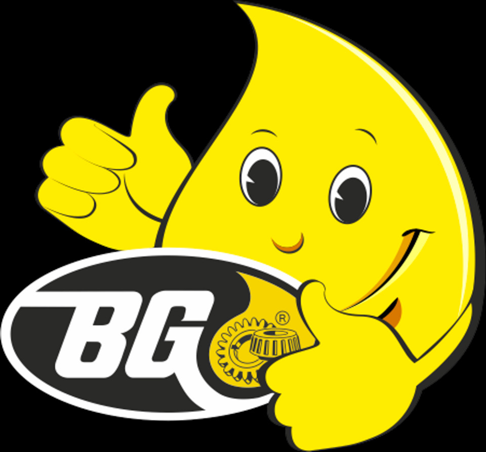 Oil, Fuel & Air Intake BG SERVICES 1