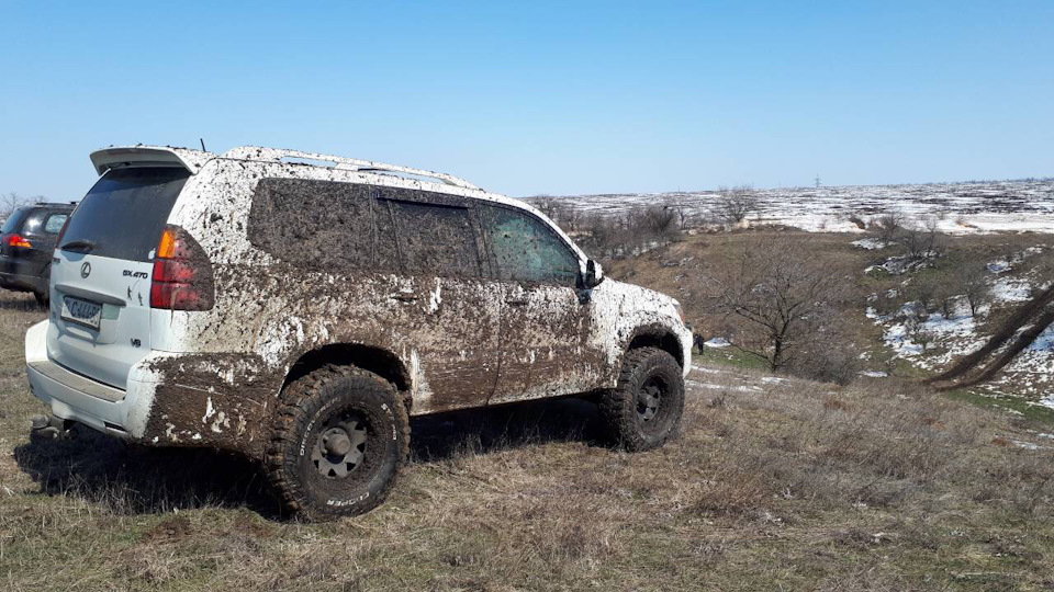 Недільні котушки в цікавій компанії 1