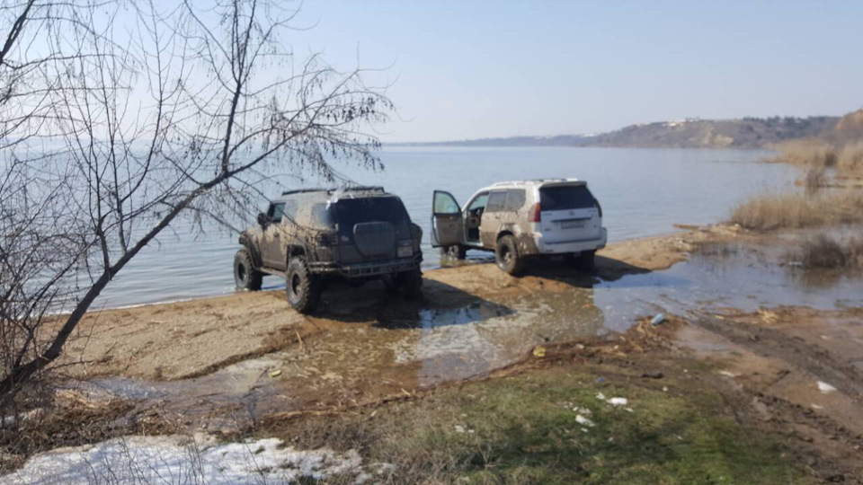 Недільні котушки в цікавій компанії 2